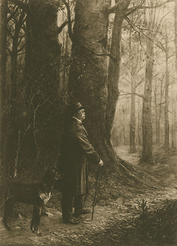 1891 01 Waldspaziergang